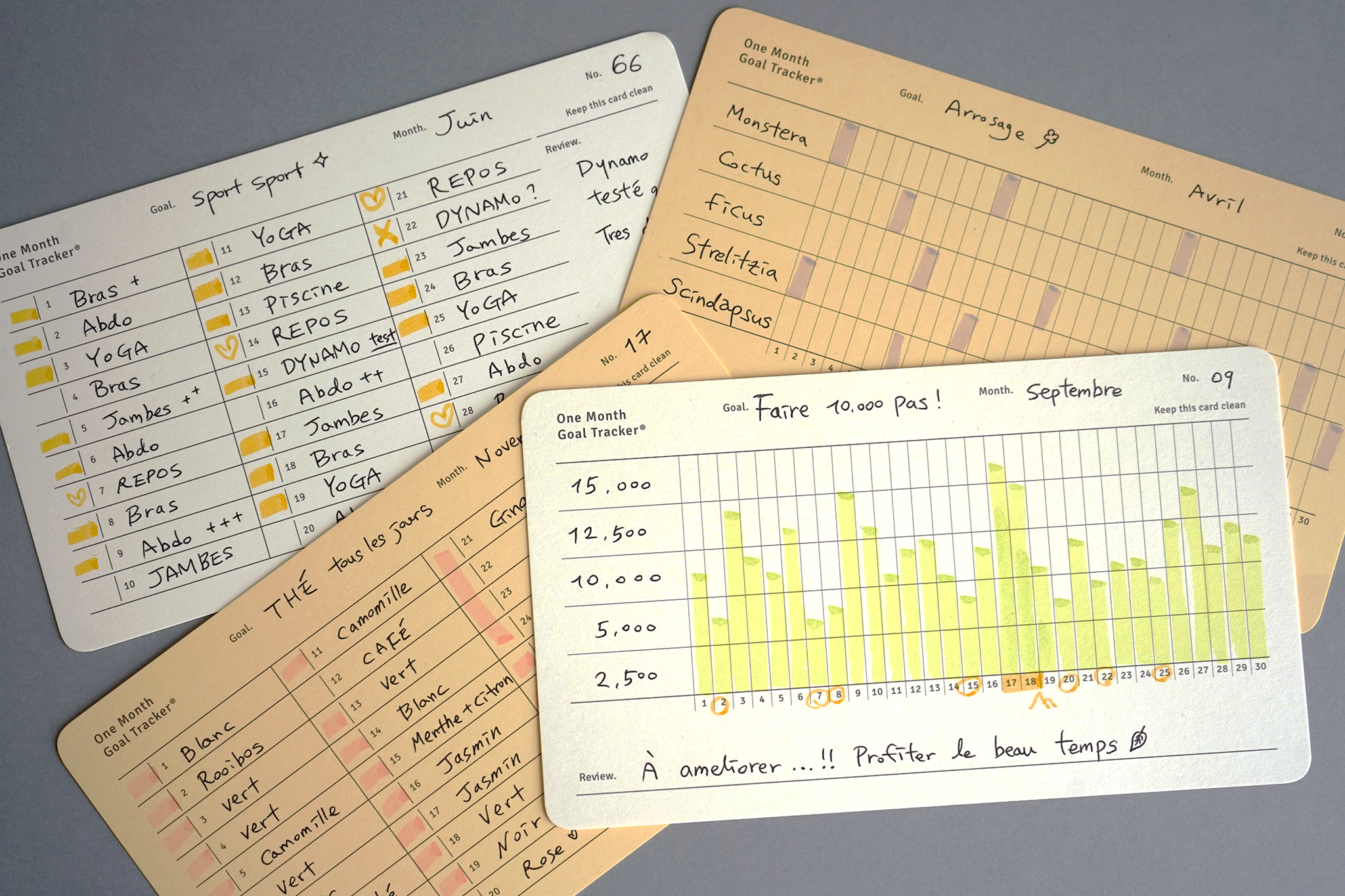 Paperian - Goal Tracker - Colonnes